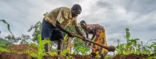 Maano: Empowering Zambian Farmers through UX/UI Research & Marketplace Design