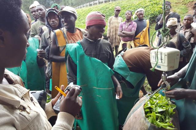 User Experience Design for Fintech in Africa