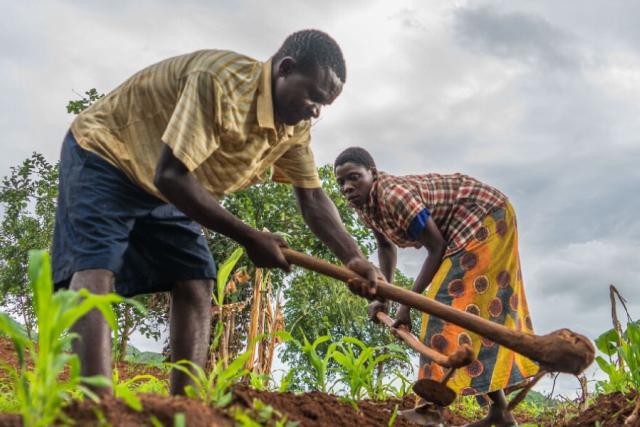 Maano: Empowering Zambian Farmers through UX/UI Research & Marketplace Design