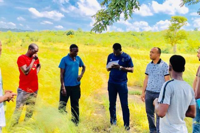 Why managers in Africa should spend more time doing UX research