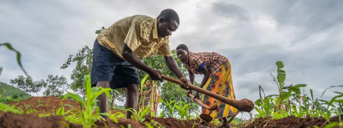 Maano: Empowering Zambian Farmers through UX/UI Research & Marketplace Design